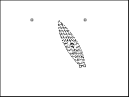 Graphic cannot be displayed