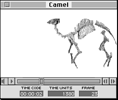 Graphic cannot be displayed